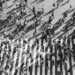 Luftaufnahme von mehreren Menschen auf einem großen Zebrastreifen